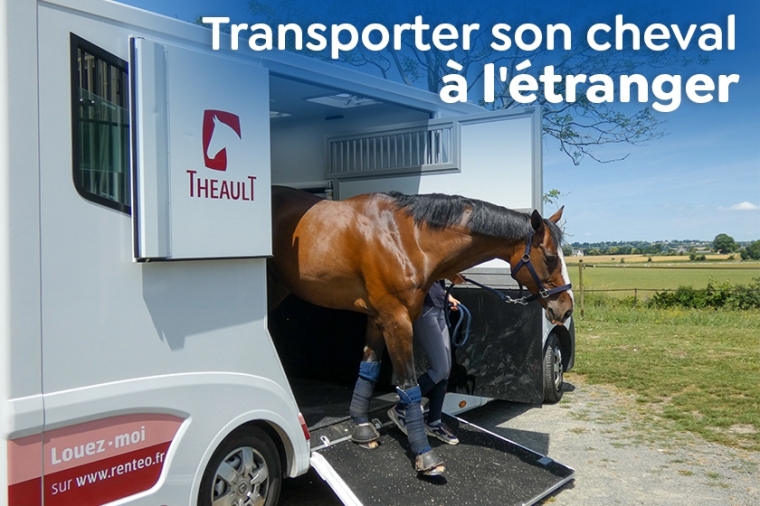 Les étapes essentielles pour transporter son cheval à l'étranger